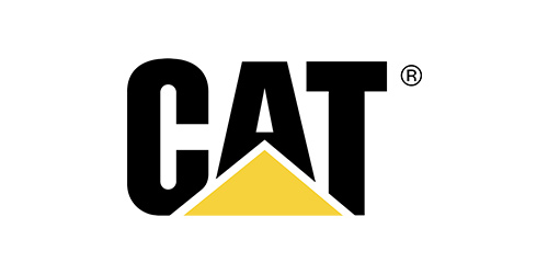 Brand Cat